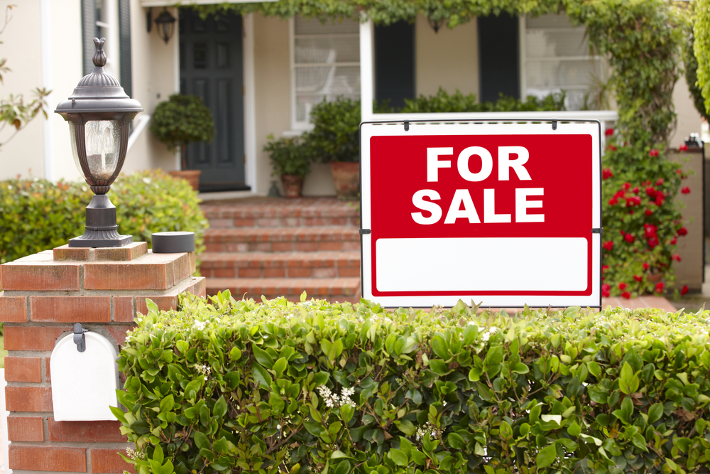 house for sale